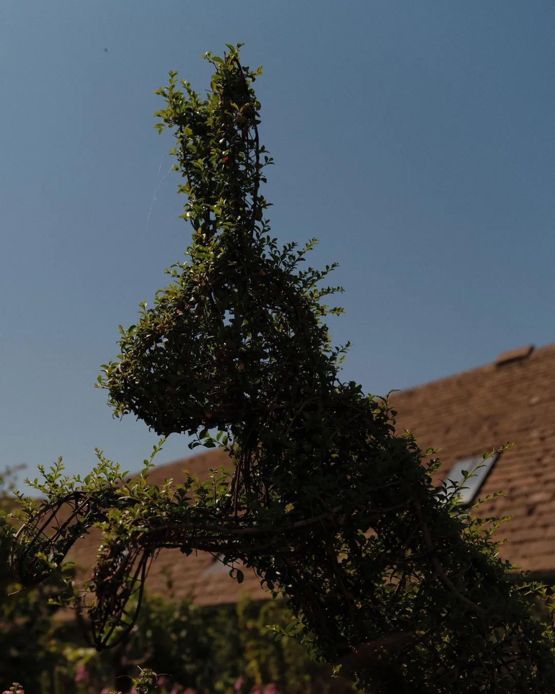 A topiary horse against a Cotswold stone roof