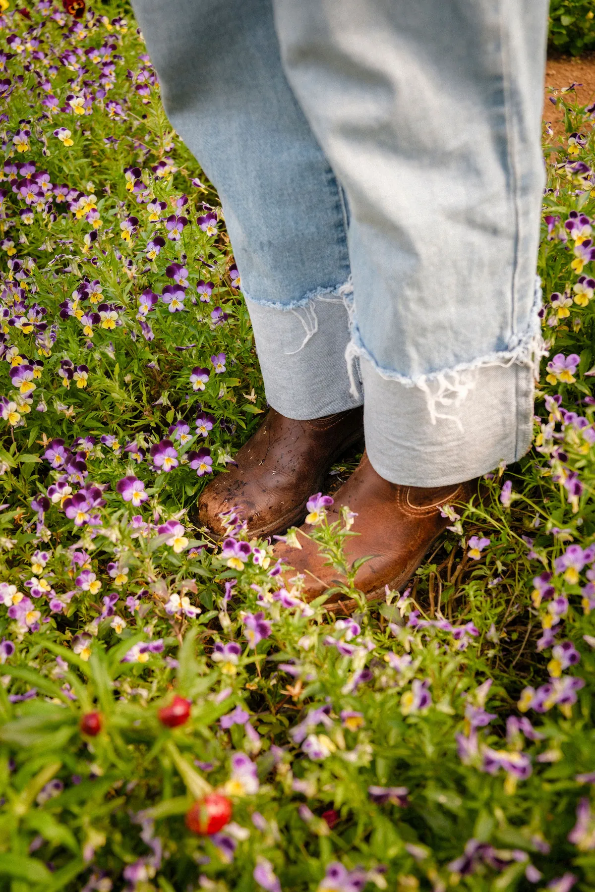 Boots among the pansies
