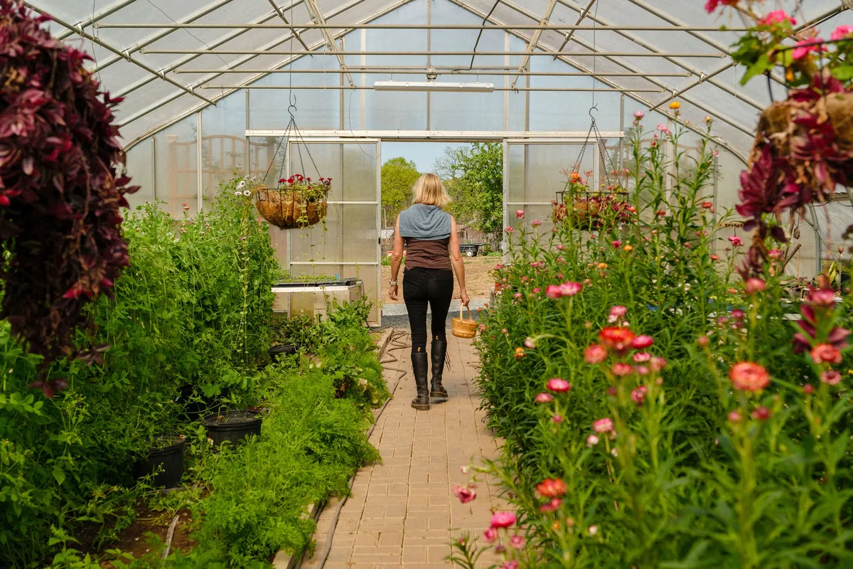 Inside one of the greenhouses at The Farm at Natirar
